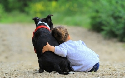 Dogoterapia!