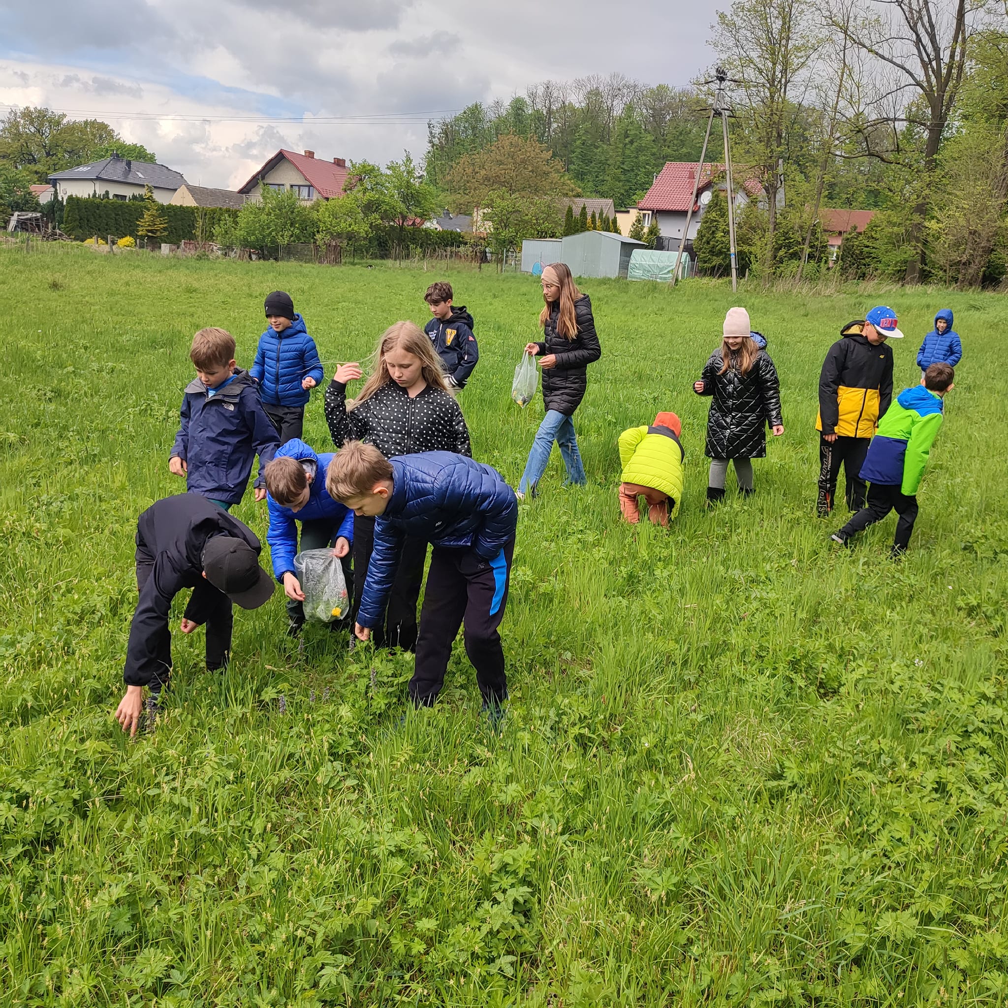 Dzieci zbierają roślinki