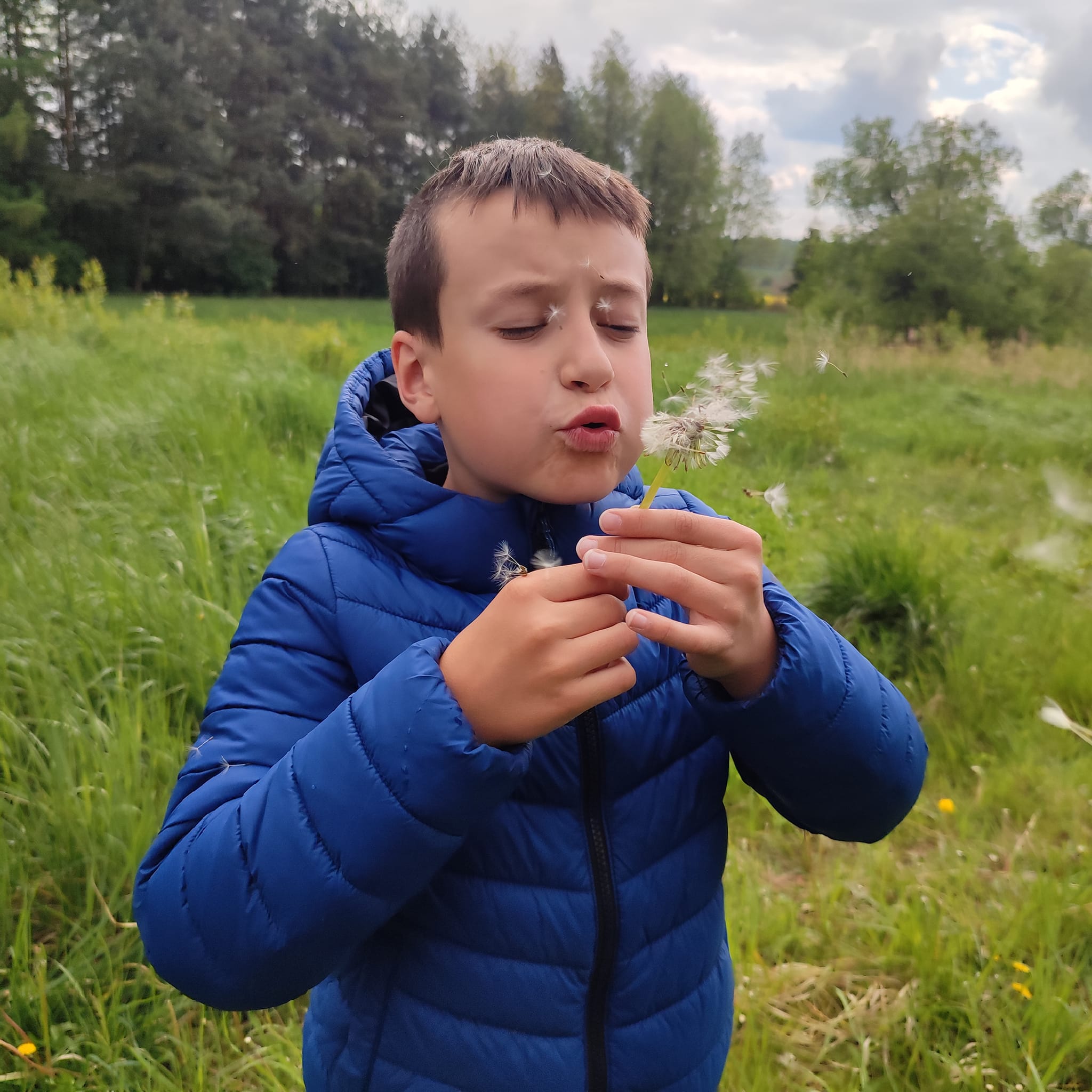 Chłopiec z dmuchawcem